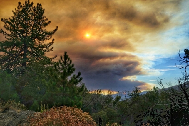 Angeles Forest Sand Fire Day 1