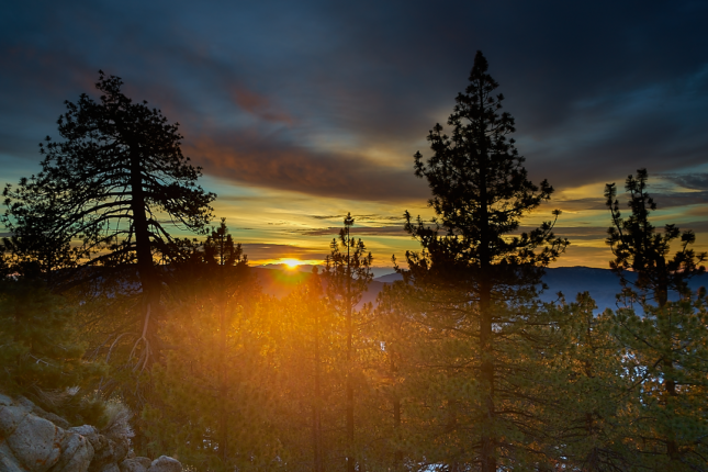 Sparkle Like Sunshine Angeles Forest Mt. Pinos Sunrise Southern California